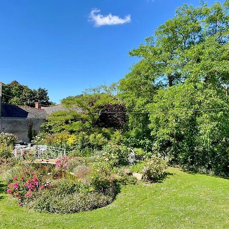 Chambre De Charme Dans Un Jardin De 1500M2 Nueil-sur-Layon 外观 照片