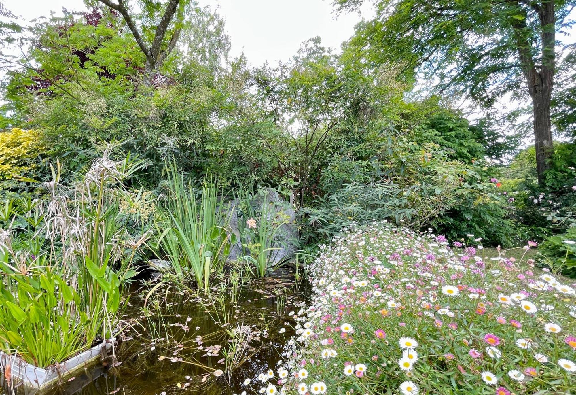Chambre De Charme Dans Un Jardin De 1500M2 Nueil-sur-Layon 外观 照片